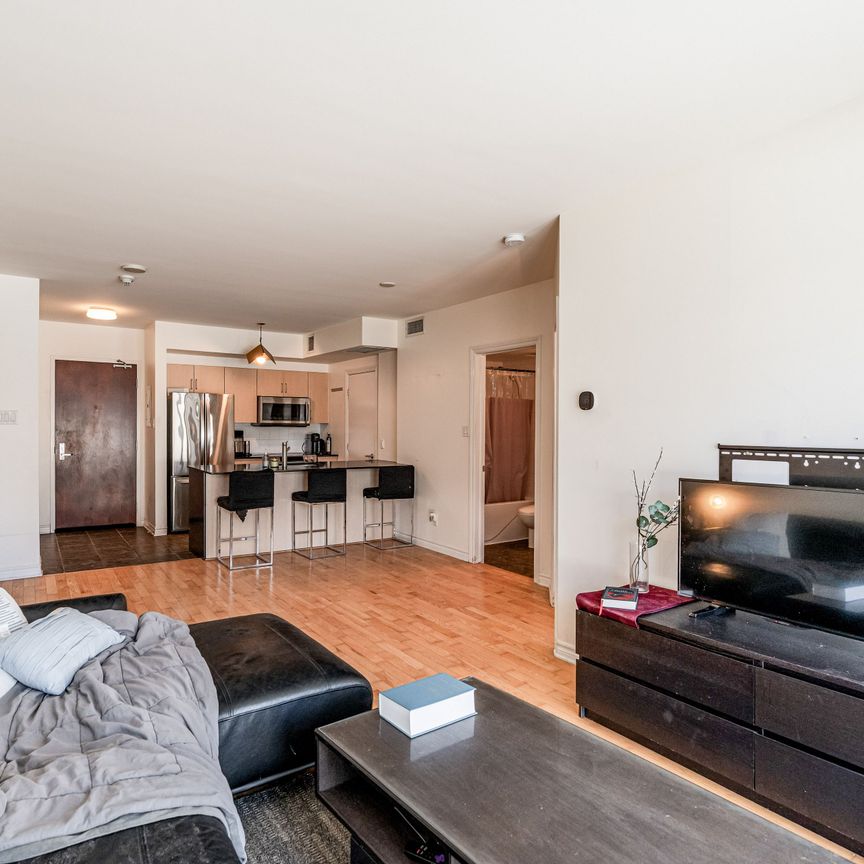 For Lease - 200 Rideau Street Unit# 206, Lower Town - Sandy Hill, Ontario - Photo 1