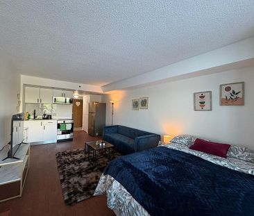 Furnished studio apartments available close to University of Ottawa - Photo 3