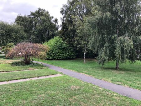 3 bedroom terraced house to rent - Photo 4