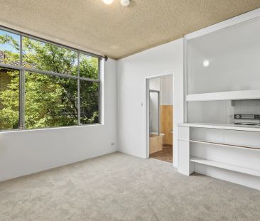 Ultra Convenient Sun filled studio - Photo 2