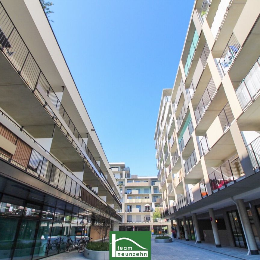Das Brauquartier – jung, dynamisch, mittendrin - Foto 1
