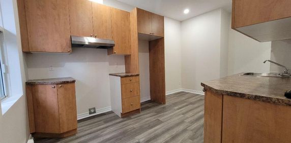 3 1/2 NEUF tranquille dans duplex près St-Denis/Bélanger - Photo 2