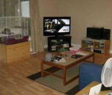 21314 124 Avenue, Maple Ridge - Photo 3