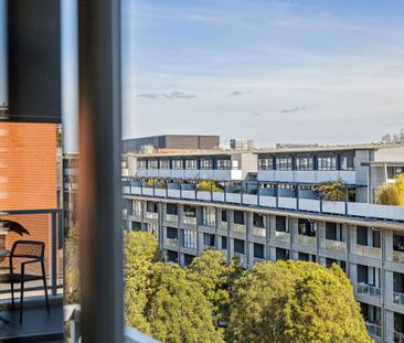 502 / 222 Botany Road - Photo 3