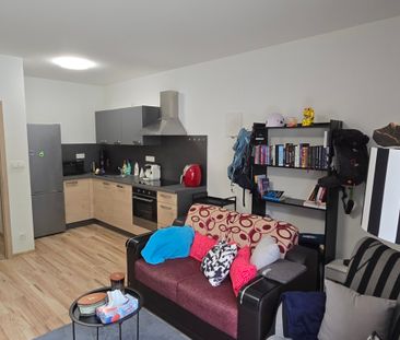 Pronájem bytu 1+kk a garsoniéry 37 m², Pod Sv. Duchem 163, Český Kr... - Photo 2