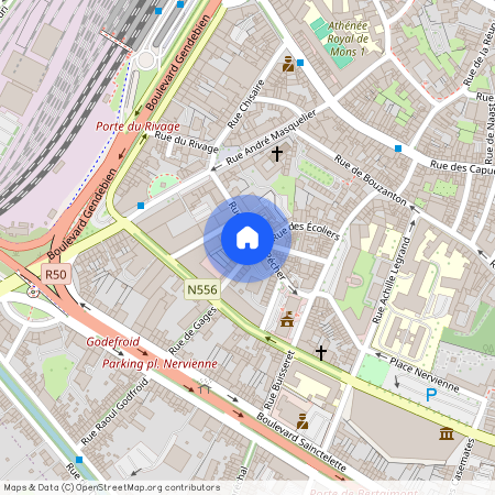 Rue Adolphe Pécher 26 0-5, 7000 Mons, België