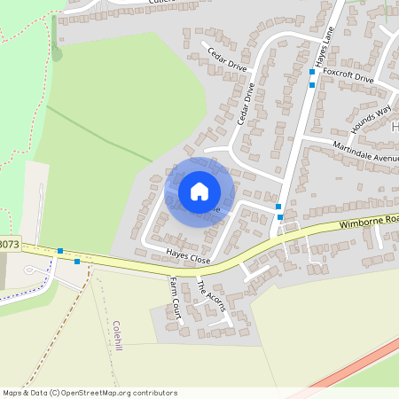 Hayes Close, Wimborne, BH21 2JL
