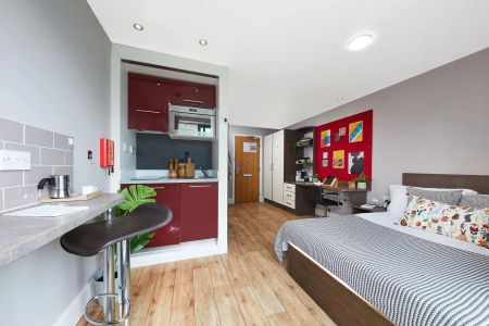 Luxury Plus Studio - Photo 2