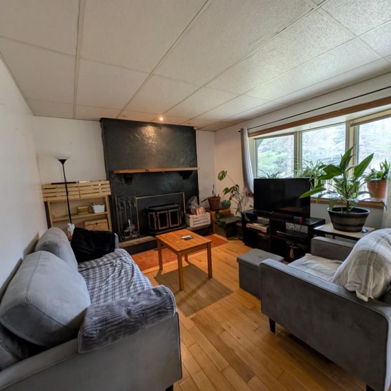 5 1/2 foyer (wifi inclus) terrain bordé d'un étang - Photo 1