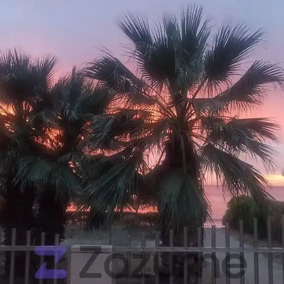 El Campello - Photo 1