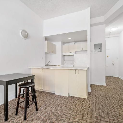 GHETTO MCGILL- STUDIO RENOVÉ & MEUBLÉ- EMPLACEMENT EXCEPTIONNEL - Photo 1