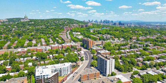 1 Bedroom 1 Bathroom - Monkland Village - 5455 Rue De Terrebonne, Montréal - Photo 3