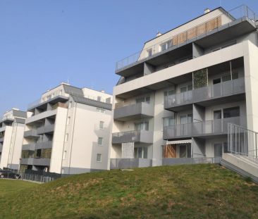Freundlicher Wohngenuss mit vielen Extras - Tolle Lage und schöne A... - Photo 3