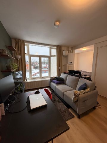 Tuinbouwstraat, Noorderplantsoenbuurt, Oranjewijk, Oude wijken, Groningen, Nederland, 9717 JJ, Nederland - Foto 2