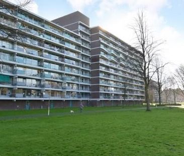 Belvédèrebos 0ong, 2715 VP Zoetermeer, Nederland - Foto 2
