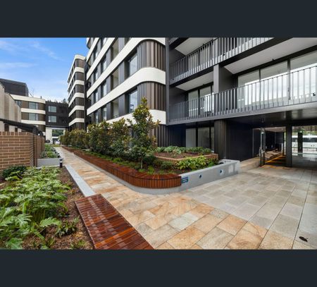 30 Young Street, Randwick, NSW 2031 - Photo 2