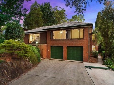 Castle Hill - Photo 3