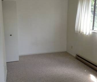 Bachelor Apartment for Rent Near Downtown Victoria - Photo 2