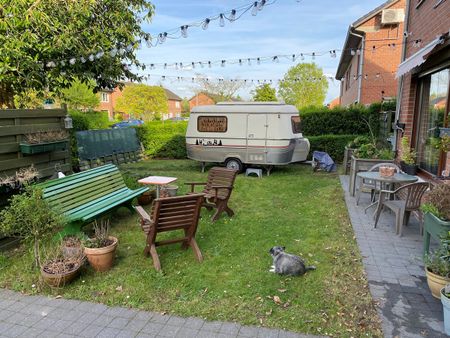 Mooie grote kamer te huur met groene straat uitzicht - Photo 2