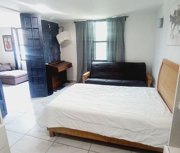 DEPARTAMENTO AMUEBLADO EN RENTA EN LA ROMA - Photo 6
