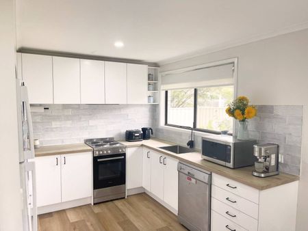 Spacious Family Home in the Heart of Jamberoo - Photo 4