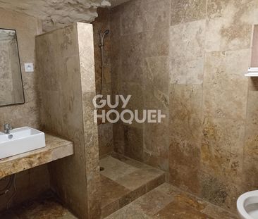 LOCATION : appartement atypique T2 (75 m²) à CHATEAUNEUF DU PAPE - Photo 3