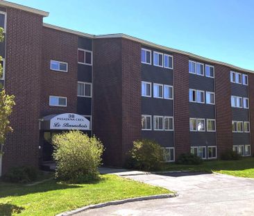 38 Pasadena Crescent - Photo 1