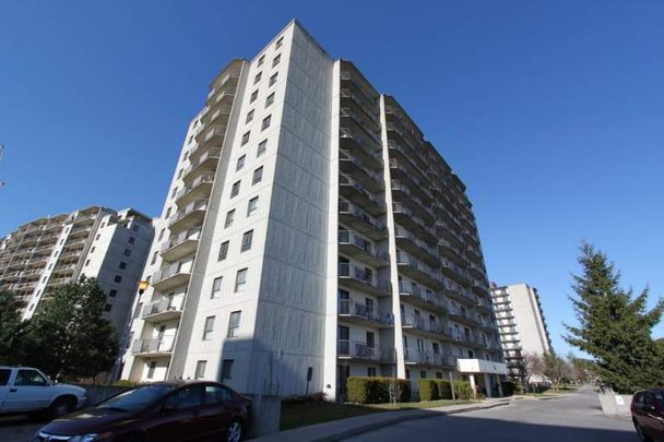 Wonderland Place I - Photo 1