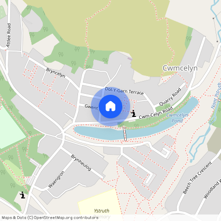 Cwmcelyn Newydd, Blaina