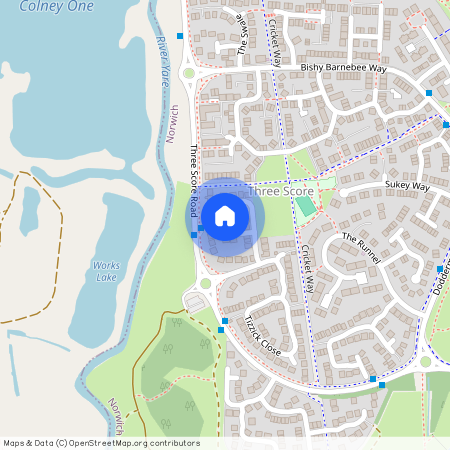 Rimer Close, Norwich, NR5