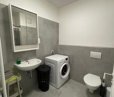 Apartment for rent, 1+KK - Studio, 34m - Photo 4