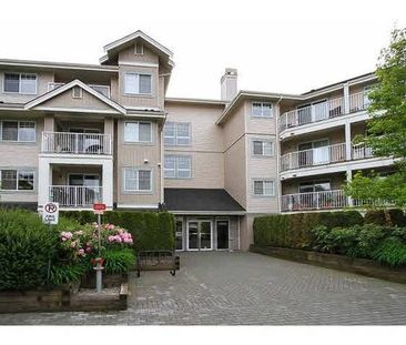 2 bedroom 2 bathroom Apartment 19388 65 Ave Surrey - Photo 1