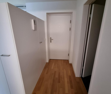2.5 Zimmer Stadtwohnung in Baden zu vermieten - Foto 2