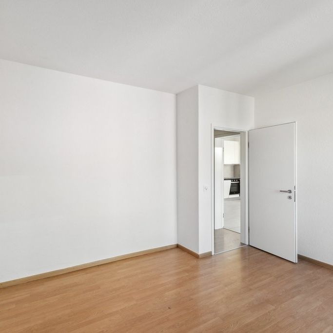 Rent a 4 ½ rooms apartment in Locarno - Photo 1