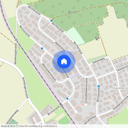 Birchstrasse 161, 8156, Oberhasli