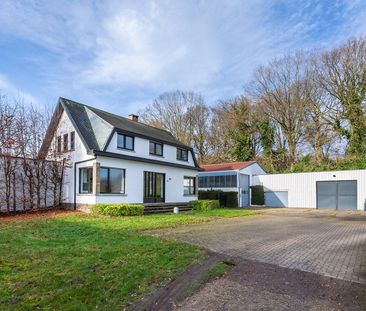 Villa met grote tuin, magazijn én weiland - Foto 6