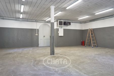 Wolnostojący budynek produkcyjno-mieszkalny - Zdjęcie 4