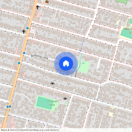 95B Peary Road, Mount Eden, Auckland City