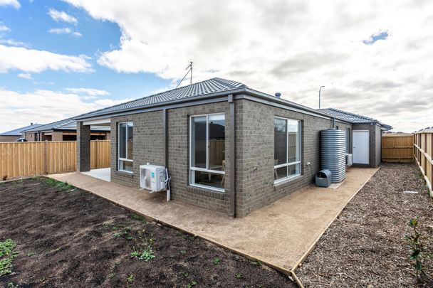 Room 2/3 Linkage Street, Bonshaw - Photo 1