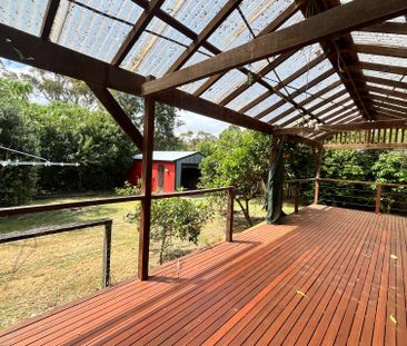 Brand New Kitchen - Photo 6