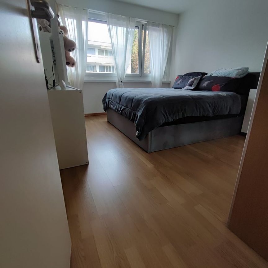 Rent a 3 ½ rooms apartment in Ebmatingen - Foto 1