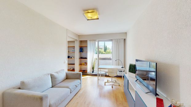 Furnished 3-room apartment, close to the United Nations - Geneva - Photo 1