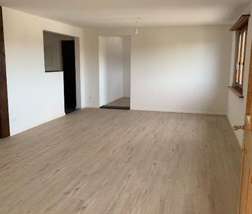 2.5 Zimmer, 75 m², 2. Stock - Photo 1