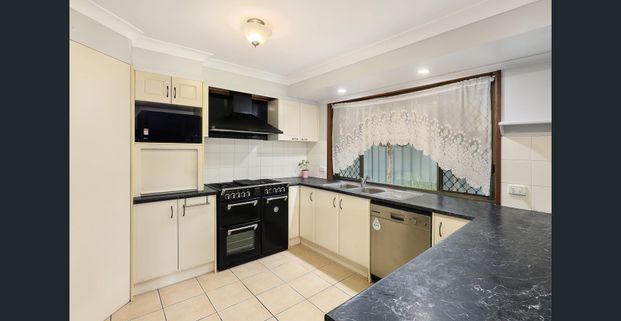 31 Millwell Road, Maroochydore - Photo 1