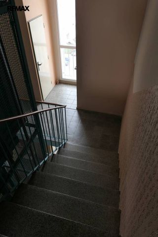 Pronájem bytu 1+kk v osobním vlastnictví 20 m², Plzeň - Photo 4