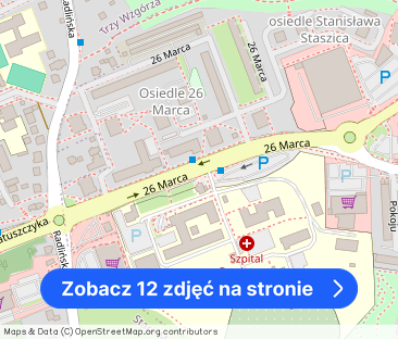 Umeblowane 3 pokoje do wynajęcia, 64 m2 w Wodzisławiu Śl. - Zdjęcie 1