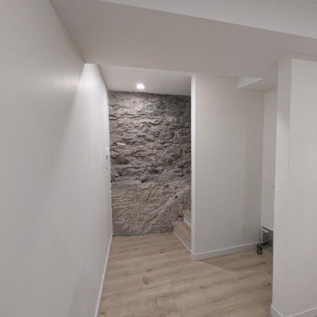 Luxueux 4 ½ neuf avec sous-sol et cour privée à louer - Photo 4