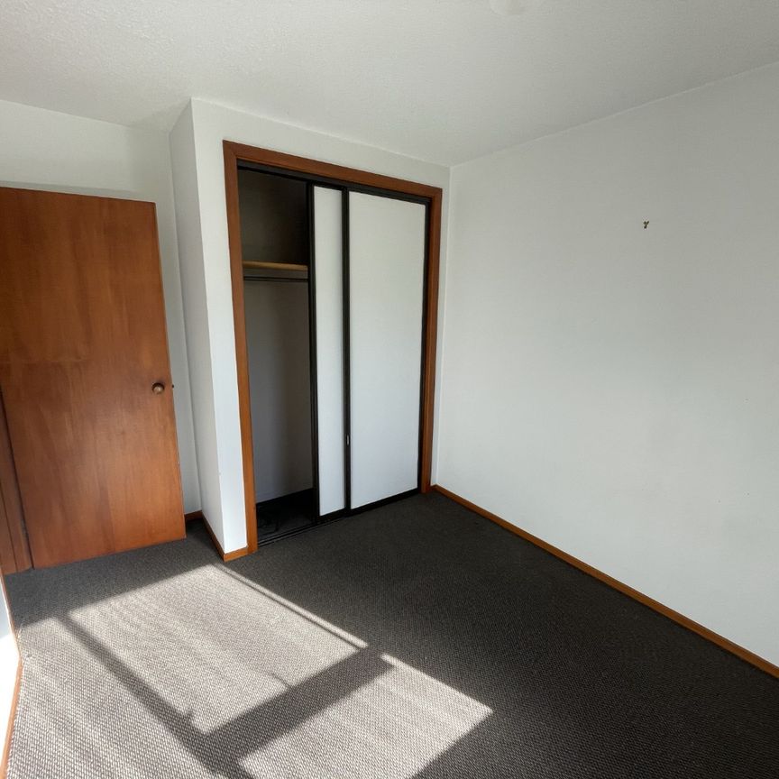 16 Gresford Street, Edgeware Christchurch - Photo 1
