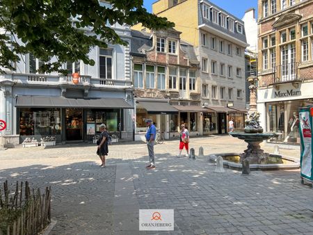 Prachtig appartement in statig gebouw aan de Kalandeberg hartje Gent-centrum - Foto 4