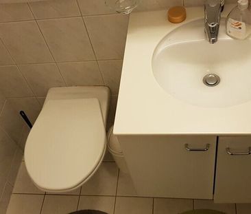 Ihr neues Wohnreich in Zumikon, befristet bis 31.03.2027 - Photo 4